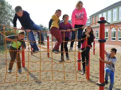 Ein Bild aus dem Gr&uuml;ndungsjahr 2014: Das Kletternetz auf dem neuen Schulhof war gleich der Renner.