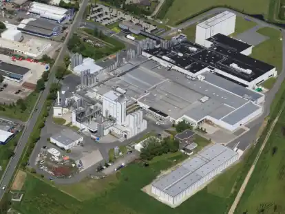 Am DMK-Standort Edewecht soll die K&auml;seproduktion verkleinert werden.