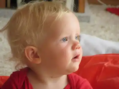 Brauchen in der Krippe eine gute Betreuung: die Null- bis Dreij&auml;hrigen.