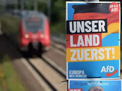 Ein Wahlplakat der AfD f&uuml;r die Europawahl.