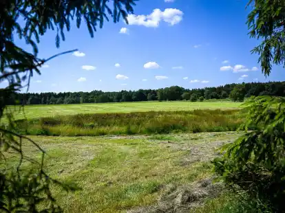 &Uuml;ber zwei Monate nach dem Verschwinden des sechsj&auml;hrigen Arian ist eine Kinderleiche gefunden worden.