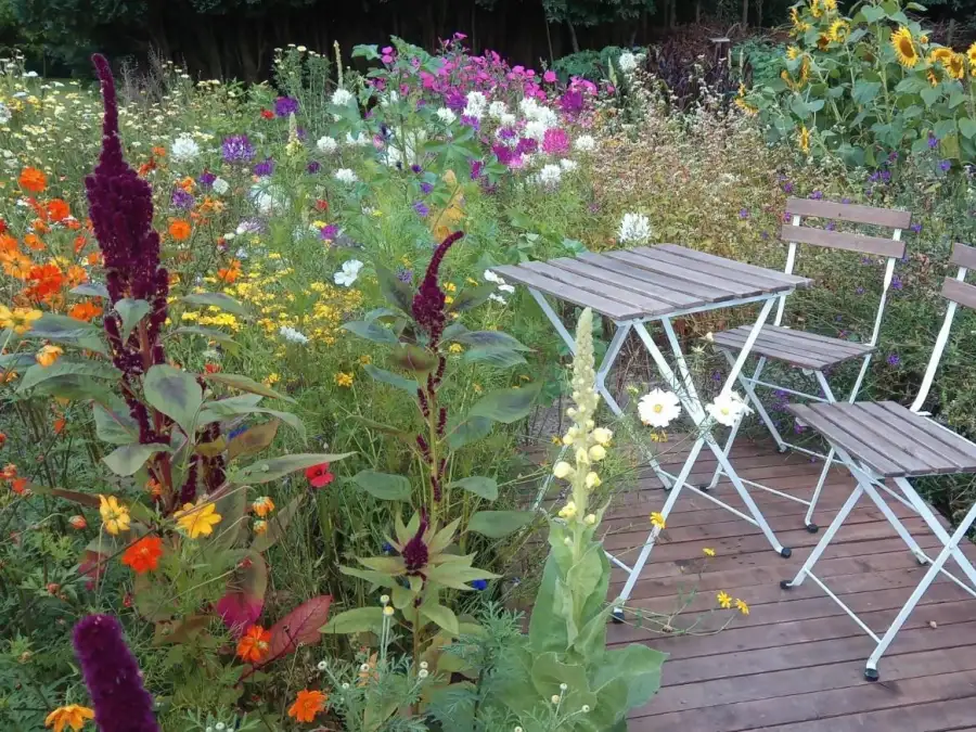 Offene Gärten in Varel Meyers Gartentraum am 21. Juli