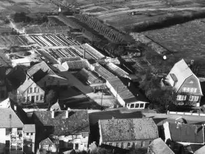 G&auml;rtnereien am Stadtrand: Historischer Blick aus der Vogelperspektive auf die 1915 gegr&uuml;ndete G&auml;rtnerei Eilers in der Bahnhofstra&szlig;e.