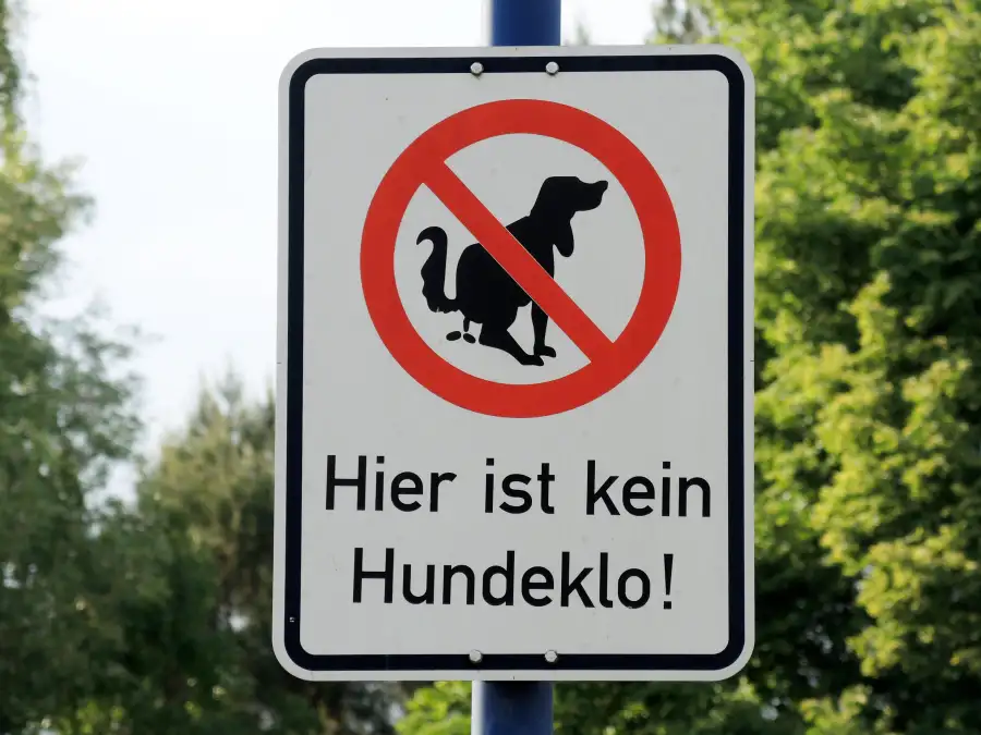 Hundekot in Varel Anwohner entsetzt über Hundehaufen im Garten