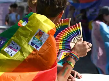 Zum Christopher Street Day in Magdeburg gab es eine queere Parade mit Hunderten Teilnehmerinnen und Teilnehmern durch die Innenstadt. (Archivbild) (Heiko Rebsch/dpa)