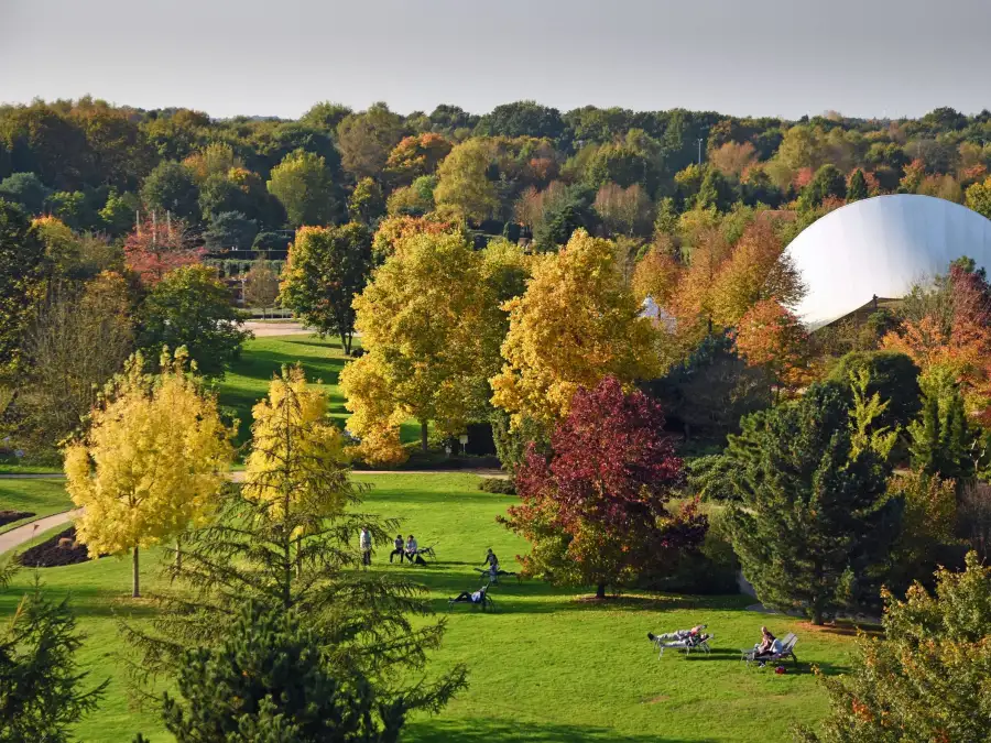 Herbstimpressionen im Park der Gärten in Rostrup Sonderöffnung mit