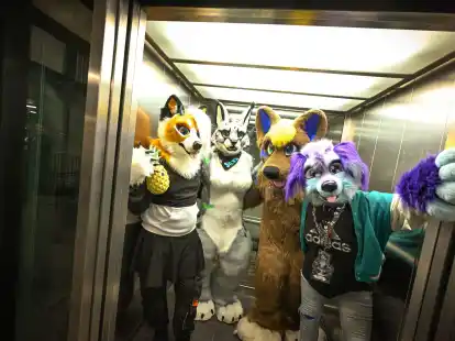 Etwa 100.000 Menschen geh&ouml;ren Sch&auml;tzungen zufolge mittlerweile dem Furry Fandom in Deutschland an - Tendenz steigend. (Archivbild)