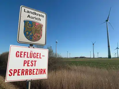 Gefl&uuml;gelpest-Sperrbezirk: In der Gemeinde Dornum im Kreis Aurich ist in einem Putenzuchtbetrieb die Vogelgrippe ausgebrochen.