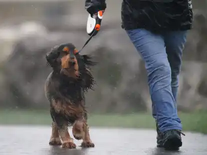 In Teilen von Wales galt die st&auml;rkste Wetterwarnung: &laquo;Lebensgefahr&raquo;. (Ben Birchall/PA Wire/dpa)