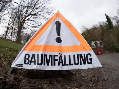Geh&ouml;lzarbeiten und Baumf&auml;llungen finden an zwei Kreisstra&szlig;en im Landkreis Cloppenburg statt. (Symbolbild)