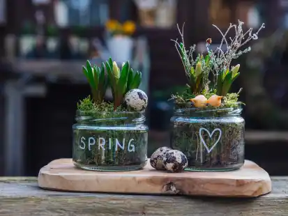 DIY-Ideen mit Frühblühern: Kreative Deko und Geschenke