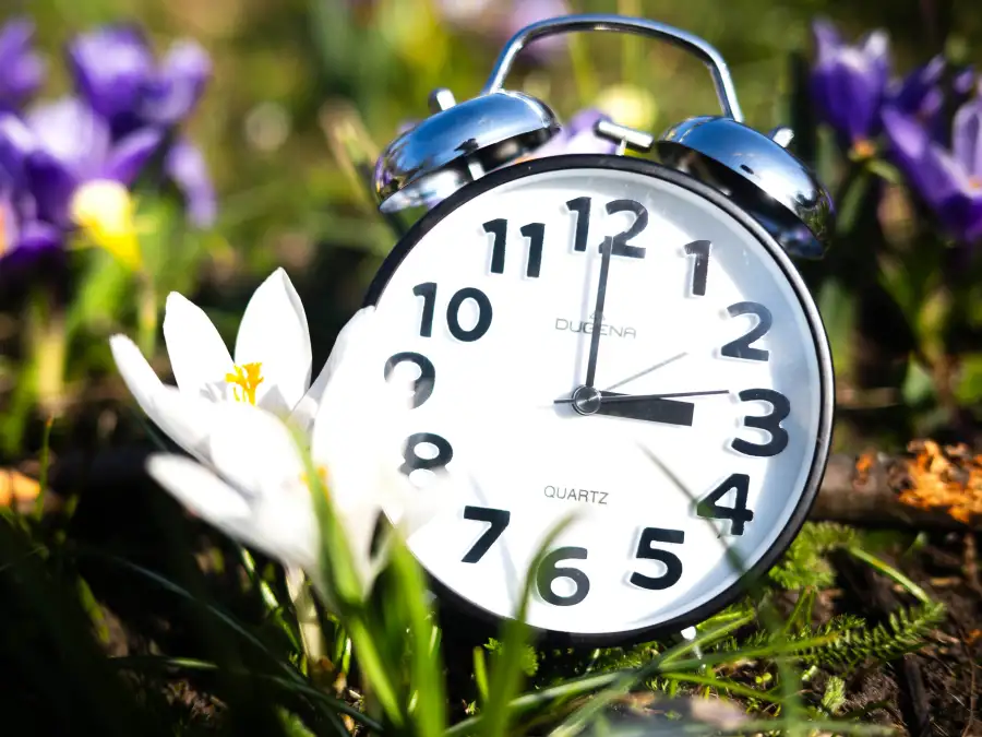 Time change: Now the clocks are ticking back to summer time - | Jet lag ...