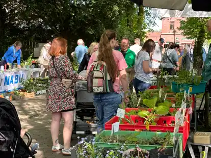 Hinter dem Alten Rathaus erwarten die Besucher unter anderem ein Pflanzenmarkt und ein Kreativmarkt.