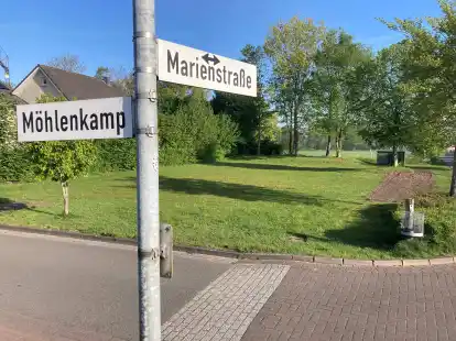 Nur noch Rasenfläche: Der ehemalige Spielplatz im Bereich Möhlenkamp/Marienstraße soll in einem Pilotprojekt  umgebaut werden.