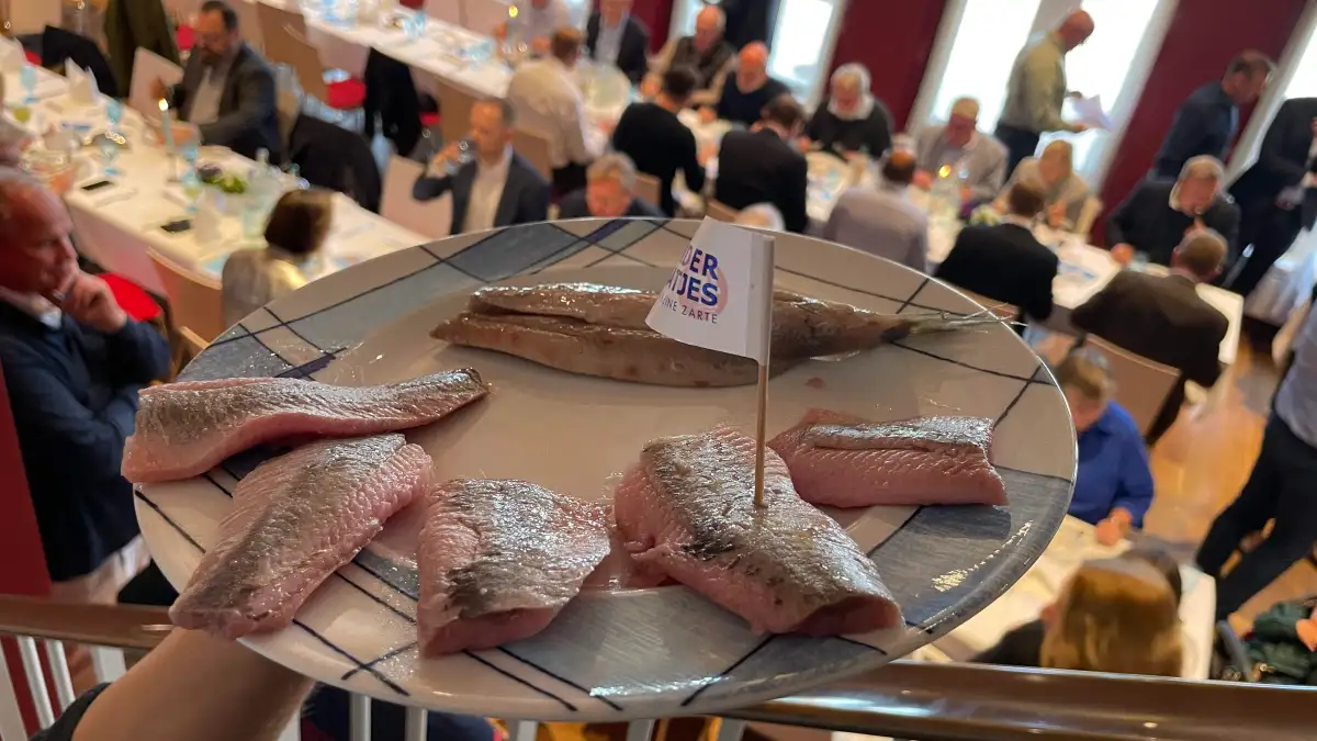 Wahl für Matjesfest 2025: Fetter Fang aus Norwegen – Dieser Matjes setzte ...