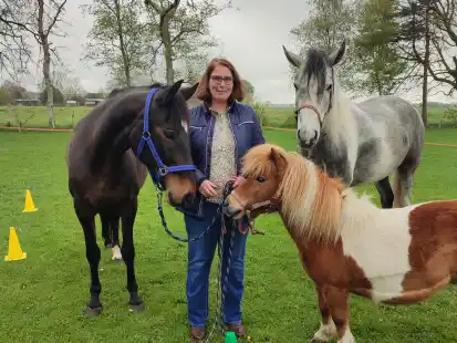 Simone van Putten bietet mit ihren drei Pferden eine Trauerbegleitung an. Die sanfte Stute Salsa (links), der Wallach Jet und die achtjährige Shetty-Stute Cindy sind ihre sensiblen Co-Trainer.