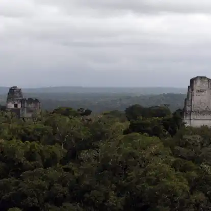 In der Nähe der Unesco-Weltkulturerbestätte Tikal wurde eine rund 2.900 Jahre alte Maya-Stätte entdeckt.
