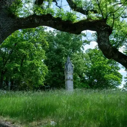 Der Park des Schlosses Rosenau bei Coburg in Bayern.
