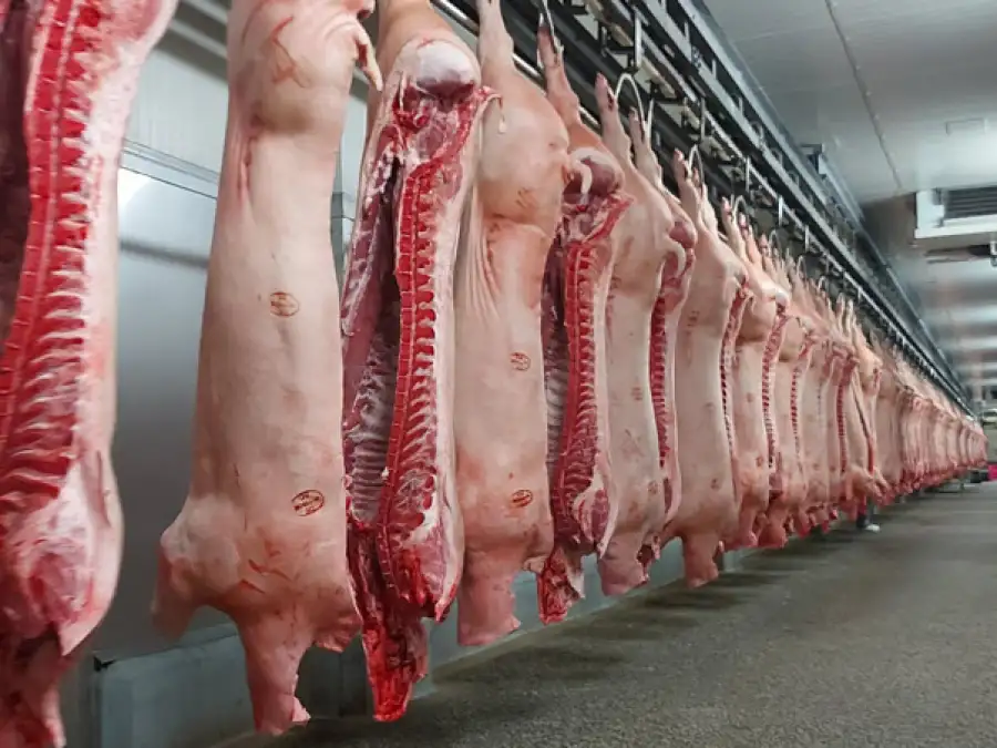 Virus ends boom: Pork prices stagnate - | Weak demand at the start of the ...