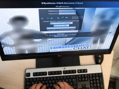 Ein Screenshot einer Login-Seite der Kinderpornografie-Plattform „Elysium“. Auch das Darknet-Forum „Alice in Wonderland“ war ein Forum mit zig Tausenden Mitgliedern, ein Oldenburger ist deshalb jetzt wegen des bandenmäßigen Zugänglichmachens sowie Besitzes von Kinderpornografie angeklagt.