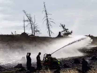 Feuerwehrleute bekämpfen versteckte Glutnester beim Waldbrand auf der Saalfelder Höhe.