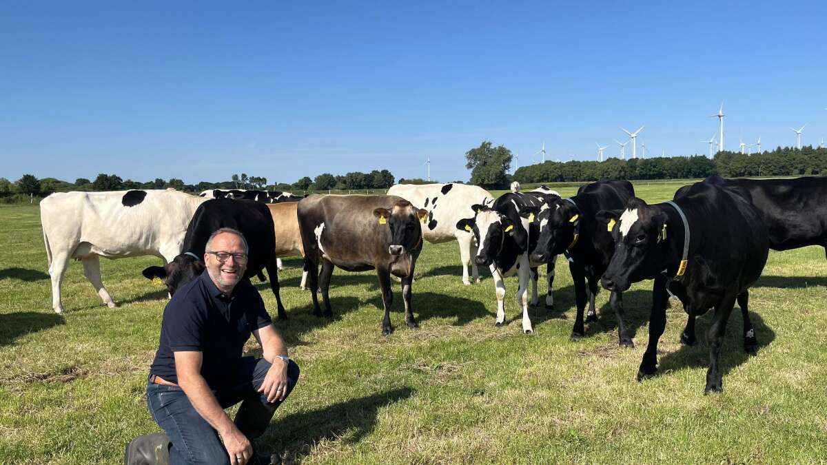 Mehr Rassen Drei-Rassen-Kreuzung in Ostfriesland: Warum dieser Landwirt aus Utarp ...