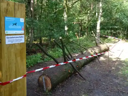 Auf diesem Balancierstamm der Dwergter Hunderunde wurden Äste abgebrochen.