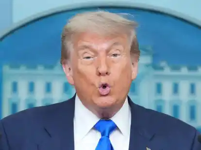 «Wir werden es uns ansehen müssen» - sagt Trump zum Wunsch der Ukraine nach einem weiteren Patriot-Luftabwehrsystem.