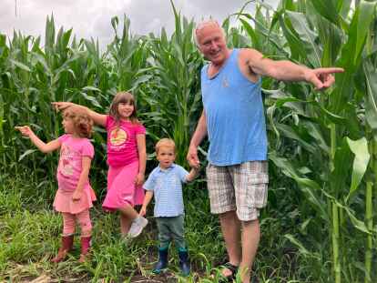 Verirrt im eigenen Maislabyrinth: Betreiber Kurt Bartels und seine Enkelkinder (von links) Mina (6), Maya (8) und Danyal (3) kennen den Weg raus natürlich schon. Ab Samstag ist der Hof am Sackhofsweg in Oldenburg für Besucher geöffnet.