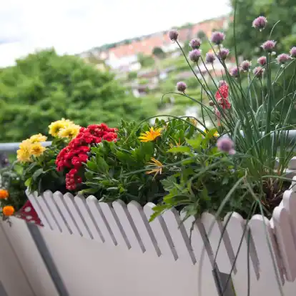 Wird in der Eigentümerversammlung der Beschluss gefasst, dass Blumenkästen künftig innen am Balkon hängen müssen, ist dies rechtens.