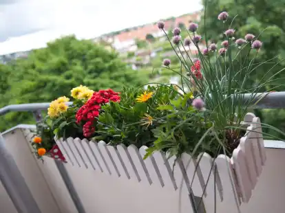 Wird in der Eigentümerversammlung der Beschluss gefasst, dass Blumenkästen künftig innen am Balkon hängen müssen, ist dies rechtens.