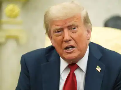 US-Präsident Donald Trump spricht während eines Treffens mit NATO-Generalsekretär Rutte im Oval Office des Weißen Hauses.