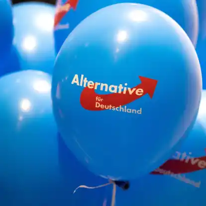 Dürfen AfD-Mitglieder in Rheinland-Pfalz nicht in den öffentlichen Dienst übernommen werden? Das wird letztlich im Einzelfall entschieden. (Symbolbild)