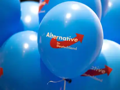 Dürfen AfD-Mitglieder in Rheinland-Pfalz nicht in den öffentlichen Dienst übernommen werden? Das wird letztlich im Einzelfall entschieden. (Symbolbild)