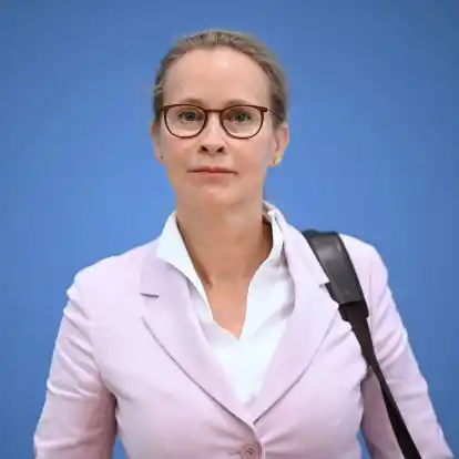 Die von ihr beauftragte Kanzlei entlastet Frauke Brosius-Gersdorf.