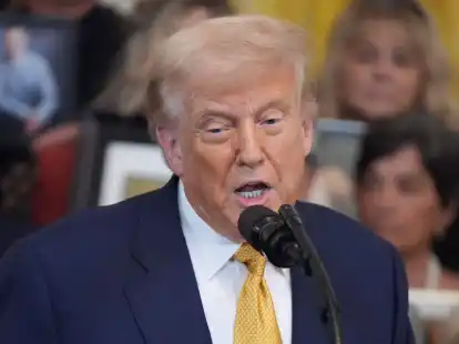 Trump will einige Unterlagen zum Fall Epstein veröffentlichen.