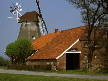 Die markanten Gulfhöfe in Ostfriesland werden 2026 den Titel „Bauernhaus des Jahres“ tragen.