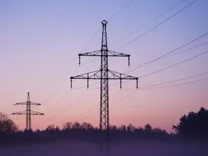 Tausende Kilometer neuer Stromleitungen sollen in Deutschland gebaut werden, um die Energiewende zu ermöglichen – aus Sicht der Bundesregierung vorzugsweise als Freilandleitung.