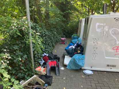 Brookweg Ecke Kattowitzer Straße: Hier haben sich einige ihres Mülls entledigt. Über solche Schandflecken ärgern sich viele Bürger in Oldenburg und haben dies auch beim Stadtteilcheck kundgetan.