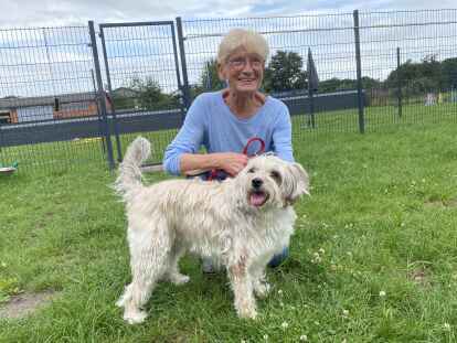 Ein Herz und eine Seele: Ursula Kluin (83 Jahre) besucht mit Hündin Lissi die Hundeschule.