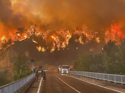 Ein Waldbrand wütet in einem Waldgebiet in der Nähe des Dorfes Cavuslar im Bezirk Karabuk im Nordwesten der Türkei