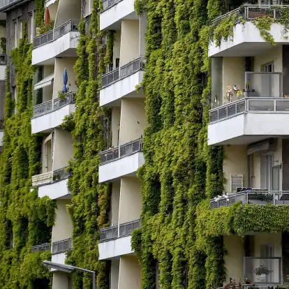Pflanzen an der Fassade sorgen im Sommer für Schatten und im Winter für zusätzliche Dämmung.