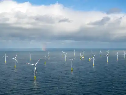 Der Offshore-Windpark Riffgat rund 15 Kilometer nordwestlich der Insel Borkum (Archivbild). Der Windpark soll eine Gasplattform mit Strom versorgen, das Kabel dafür führt durch geschützte Steinriffe.