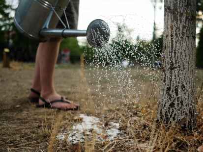 Fünf Tipps um der Natur bei Hitze zu helfen.