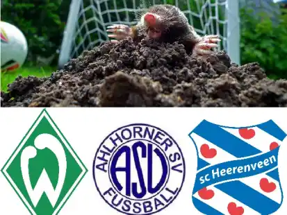 Aufwühlend: Ein Maulwurf hat beim Ahlhorner SV dafür gesorgt, dass das Testspiel zwischen den Frauen des SV Werder und SC Heerenveen am Sonntag kurzfristig nach Bremen verlegt wurde.