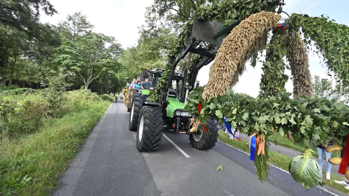 Grode Ammersche Arntefier 2025: Programm mit Festumzug, Oldtimertreffen ...