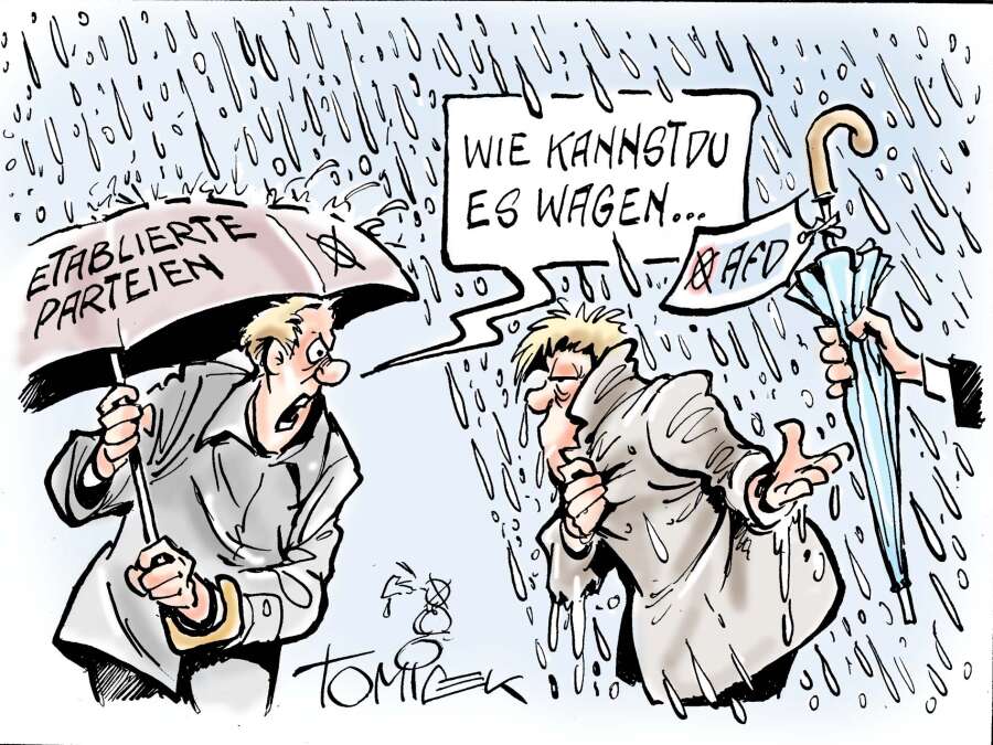Kulturkampf und Politikversagen Ein warmer Regen auf den Acker der AfD