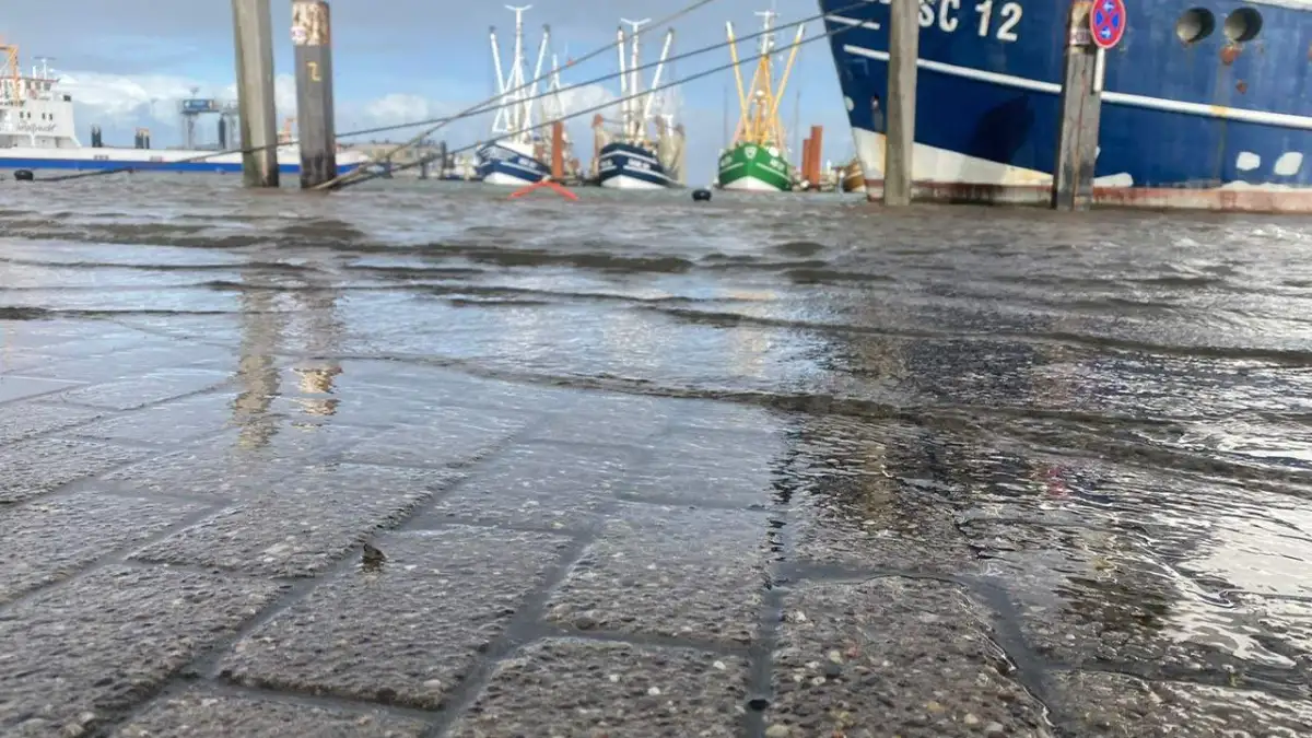 Autumn storm on the coast: Storm surge floods Norddeich's eastern harbor – ...
