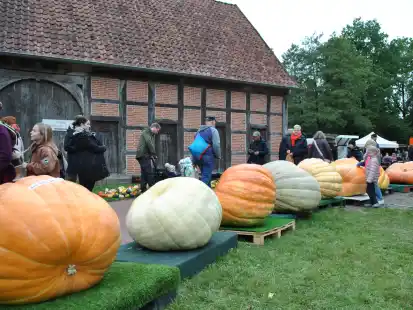 Museumsdorf Cloppenburg feiert Erntedankfest
