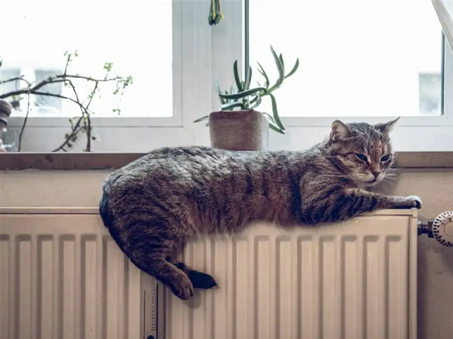 Join the discussion!: When will you start heating this year?